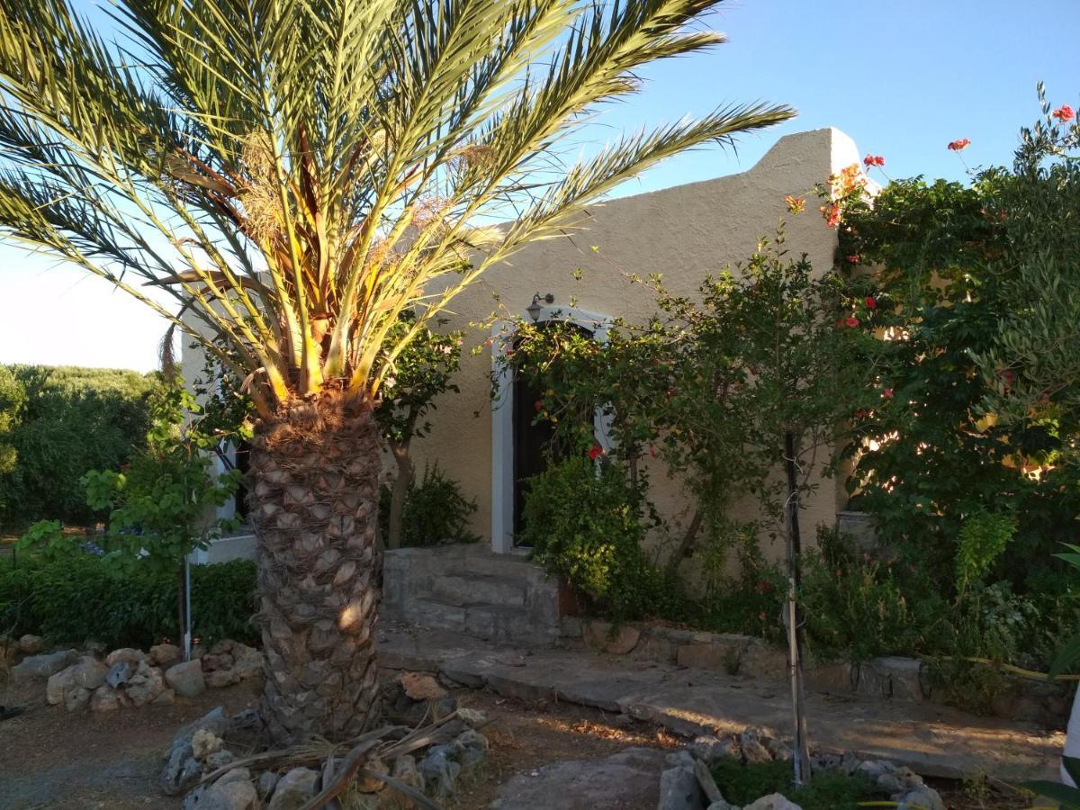 Porto Heli Apartments Palekastro Exteriér fotografie