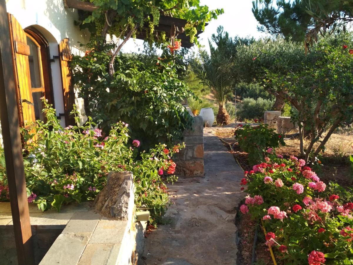 Porto Heli Apartments Palekastro Exteriér fotografie
