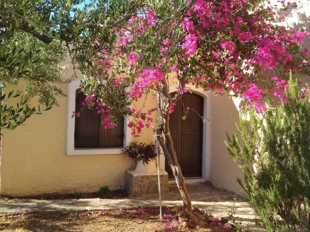 Porto Heli Apartments Palekastro Exteriér fotografie