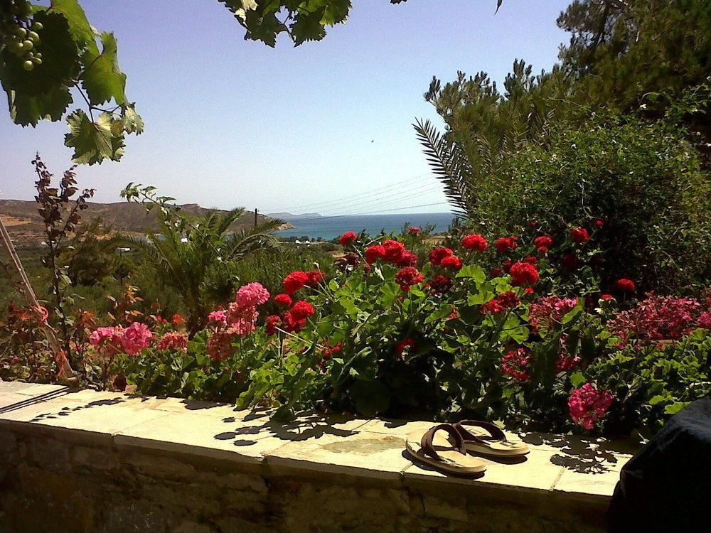 Porto Heli Apartments Palekastro Exteriér fotografie