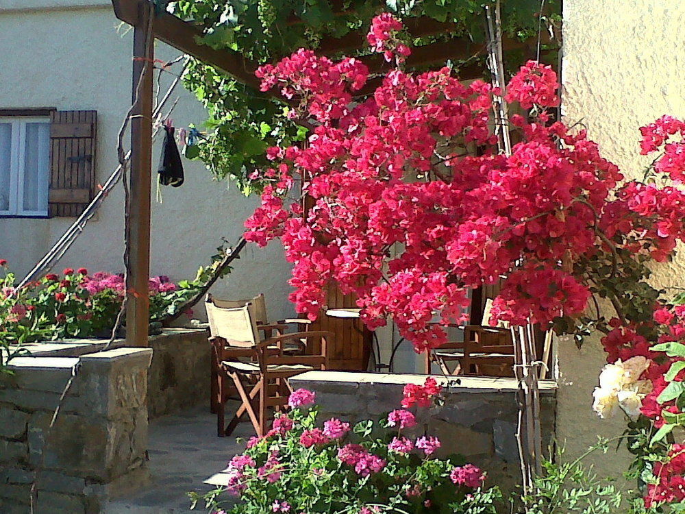 Porto Heli Apartments Palekastro Exteriér fotografie